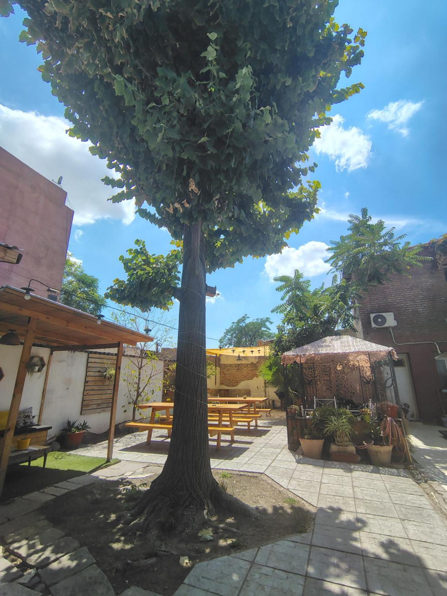 Mora Hostel 门多萨 外观 照片